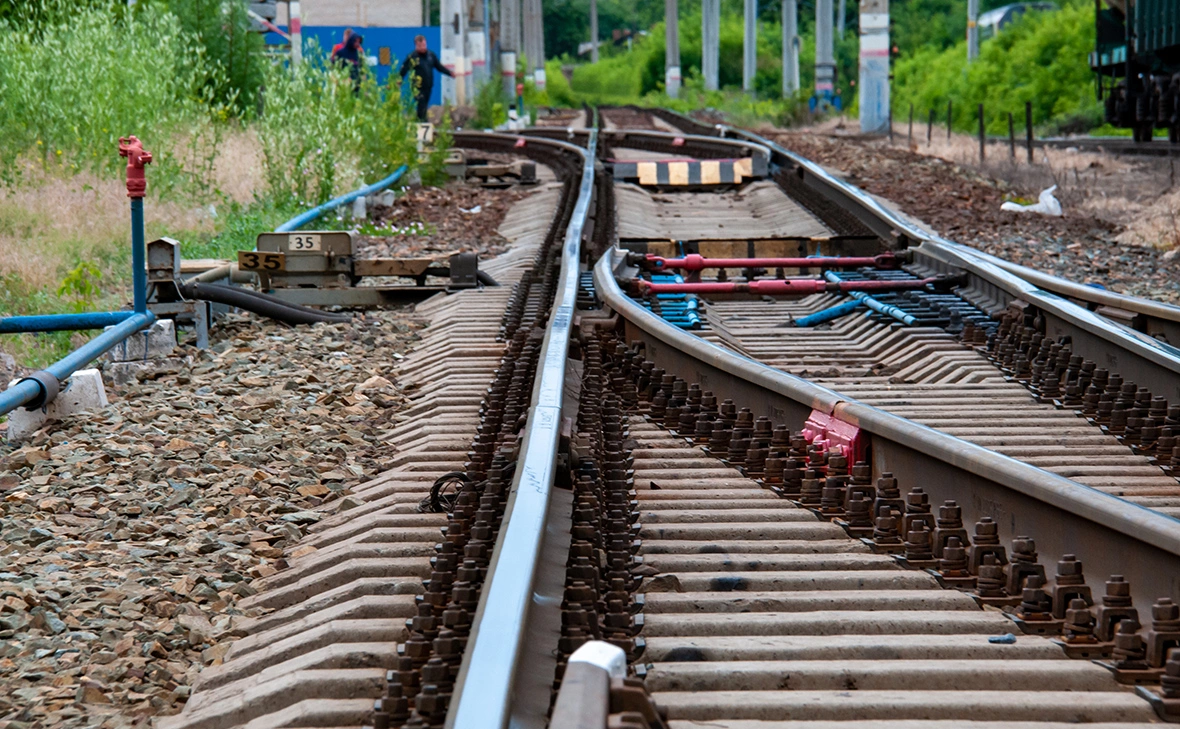 Светлана Возмилова / Global Look Press