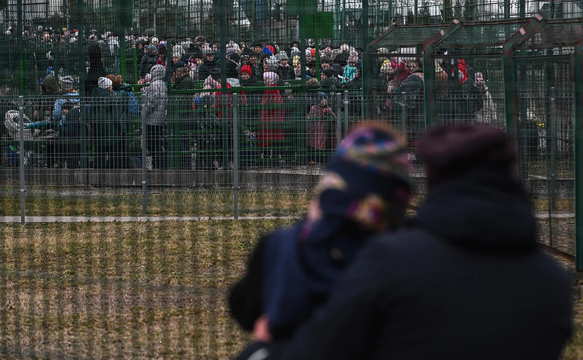 Omar Marques / Getty Images