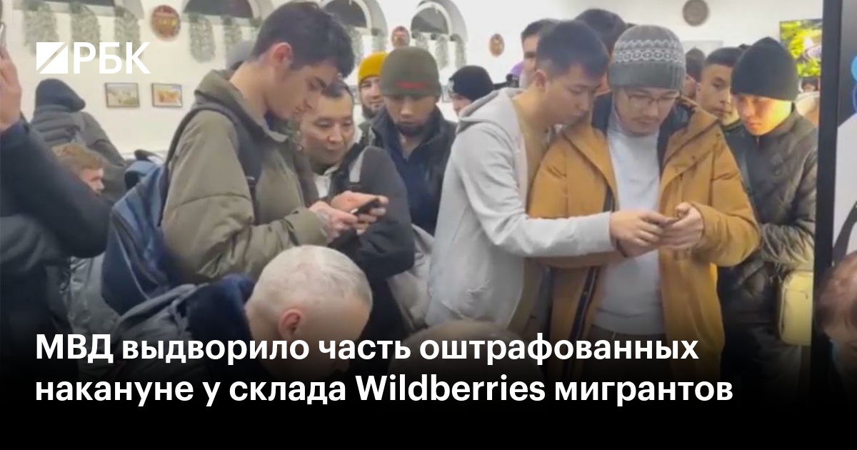 МВД выдворило часть оштрафованных накануне у склада Wildberries ...