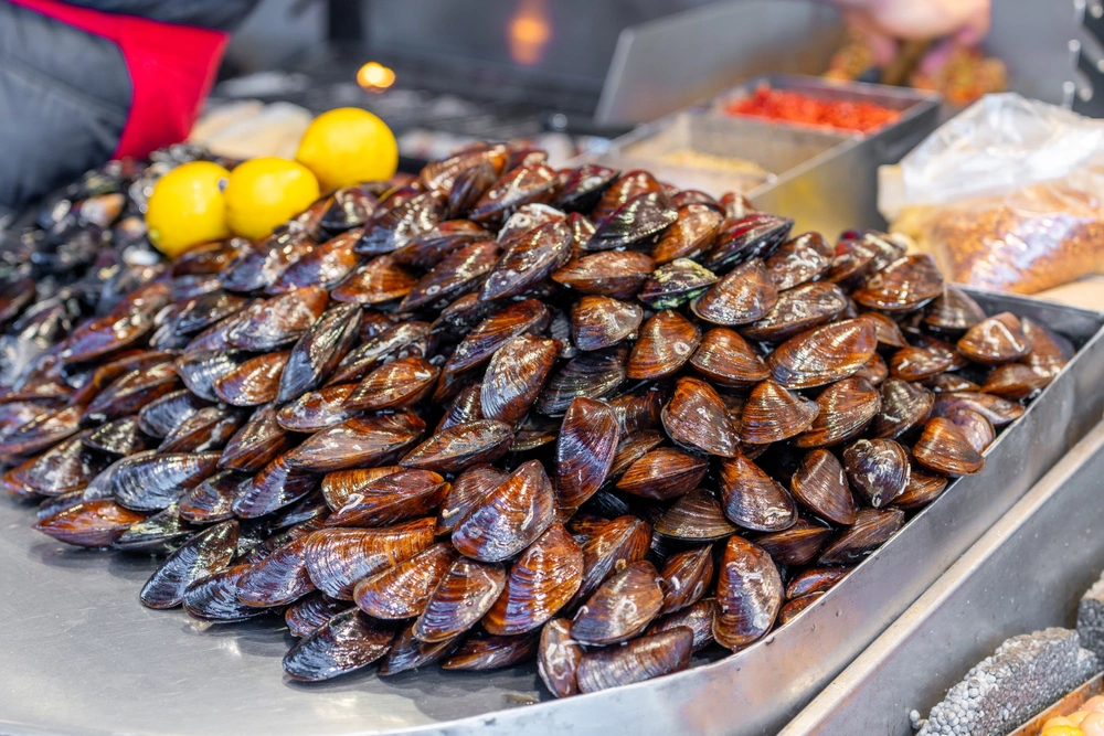 Раковины свежих мидий должны быть влажными и блестящими