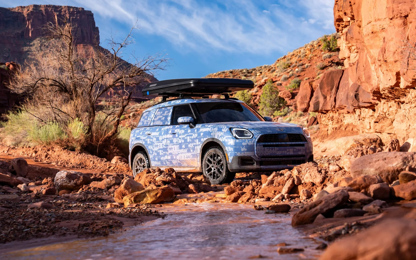 Фото: Mini