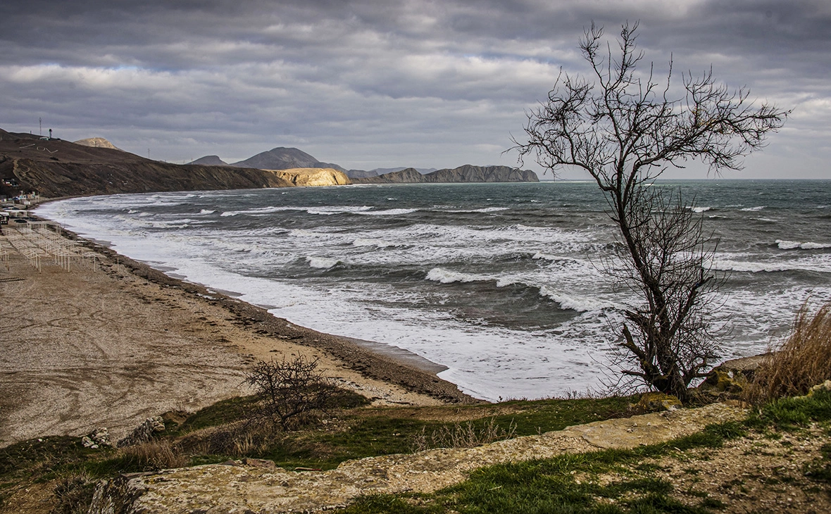 Дмитрий Макеев / РИА Новости
