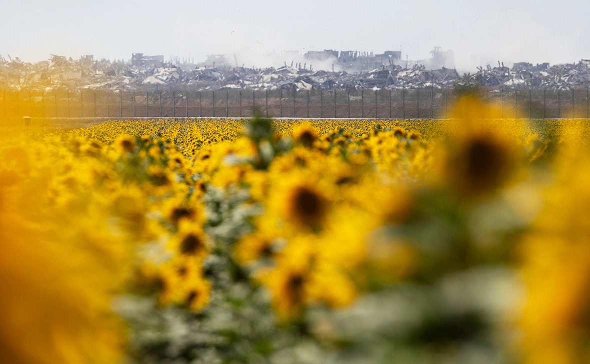 Amir Levy / Getty Images