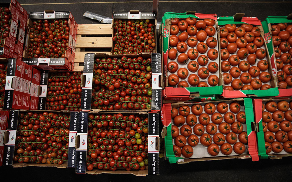 Правительство ограничило госзакупки импортных огурцов и помидоров