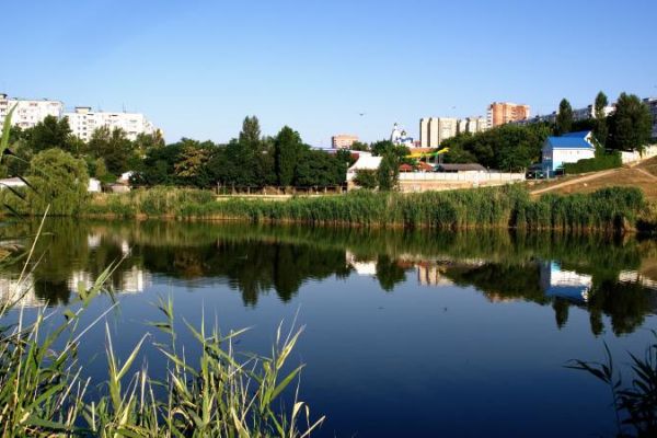 Депутаты раскритиковали строительство экопарка вдоль Темерника в Ростове