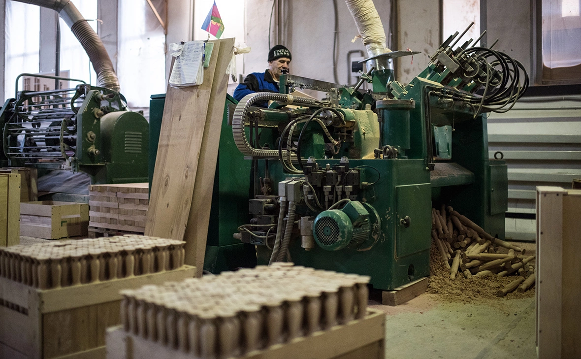 Алина Десятниченко / РБК