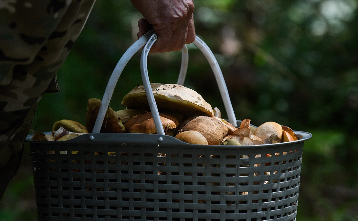 Илья Московец / URA.ru / Global Look Press