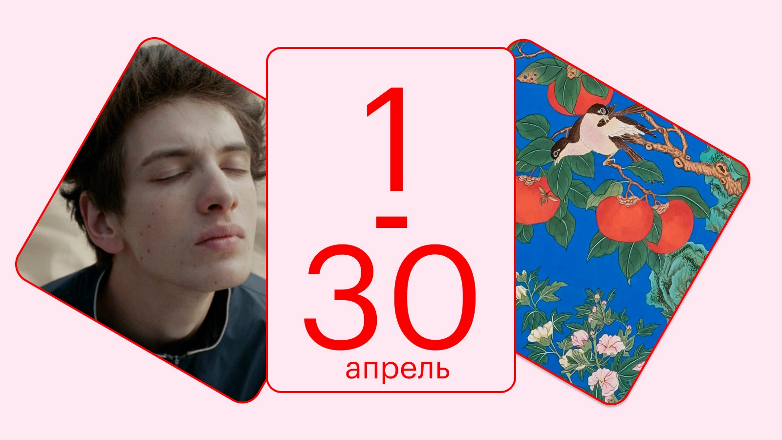 Кадр из фильма «Космос засыпает» / Седых Любовь. Благопожелание жизни в бессмертии