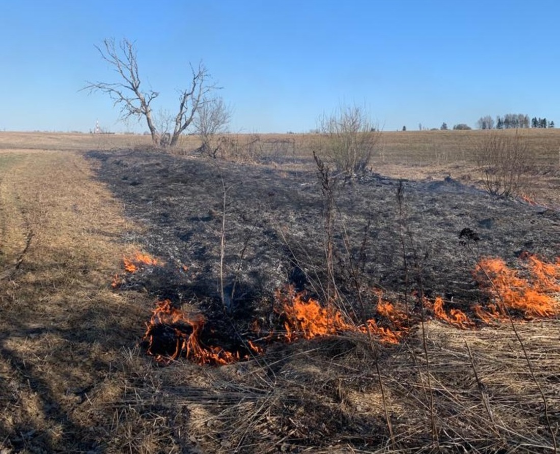 Власти Вологодской области определили дату начала пожароопасного сезона