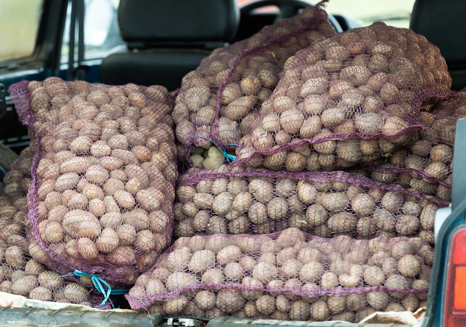 Александр Подгорчук