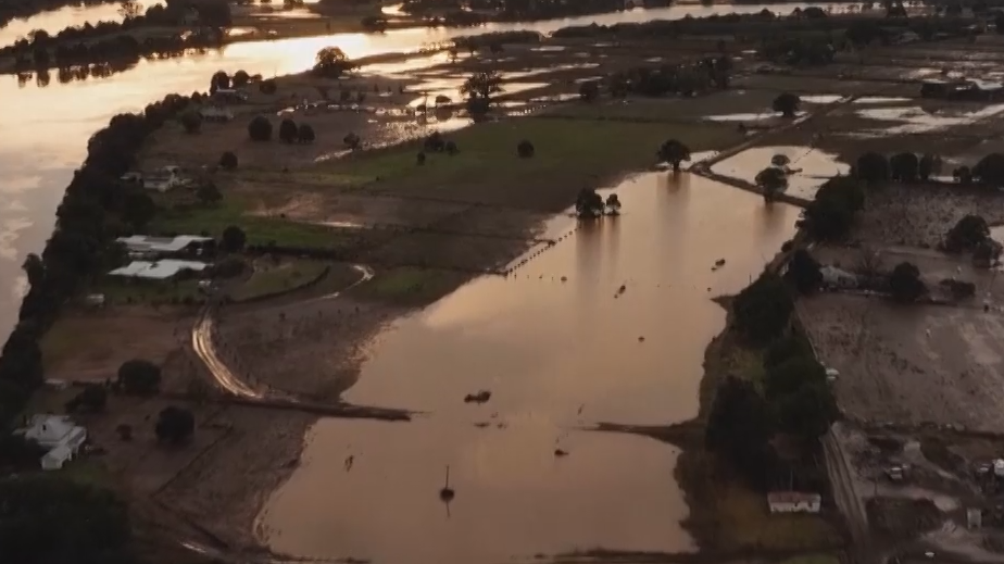 Последствия наводнения в Австралии. Видео