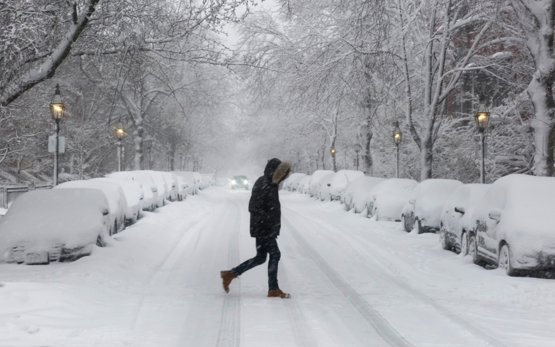 Фото: Shutterstock