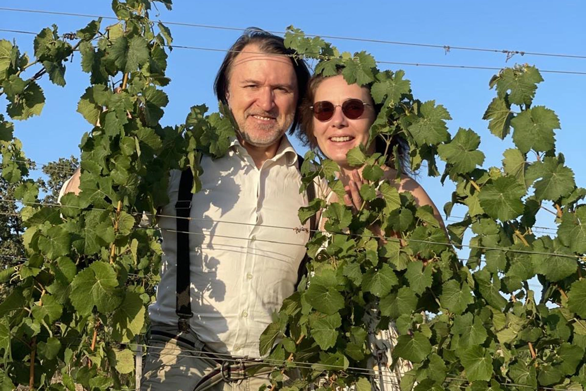 Новички «Гида по российским винам»: первые победы начинающих