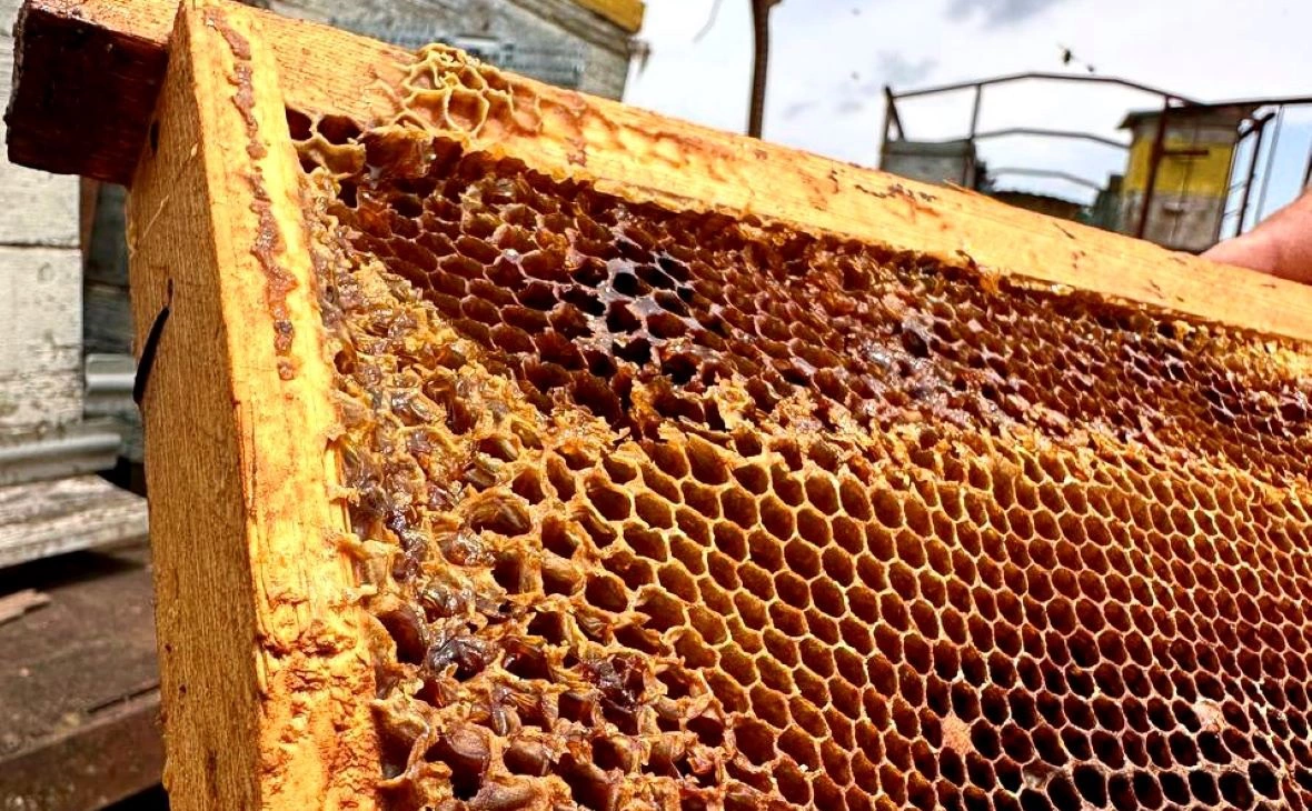 Бизнес и точка