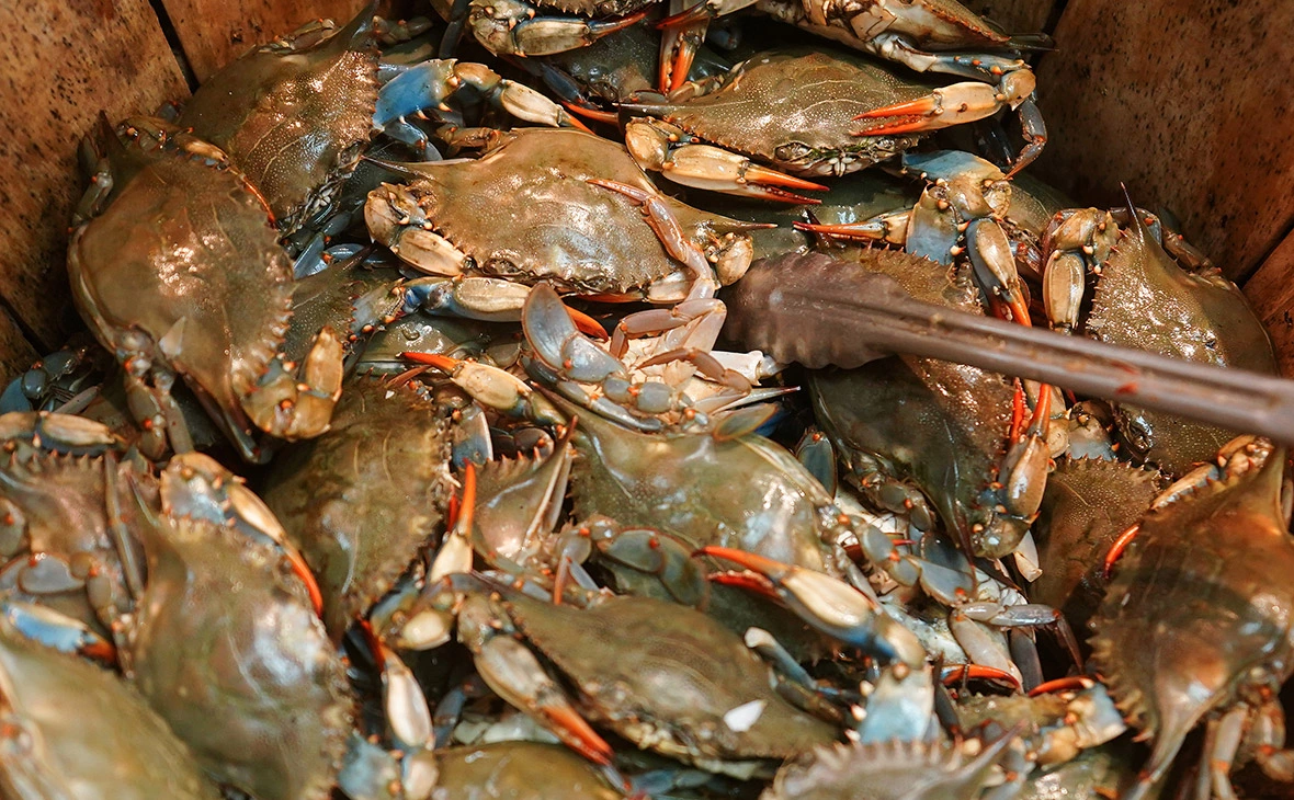 Carlo Allegri / Reuters