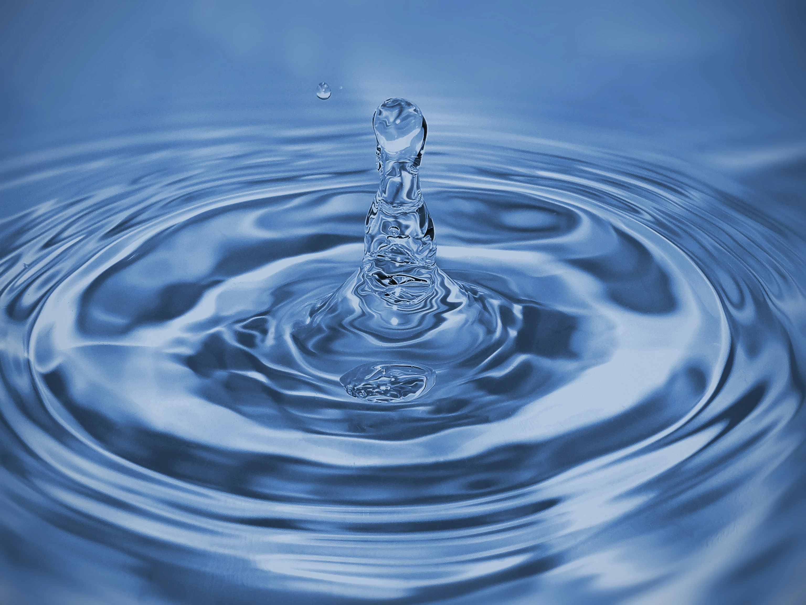 Как вода влияет на организм человека?