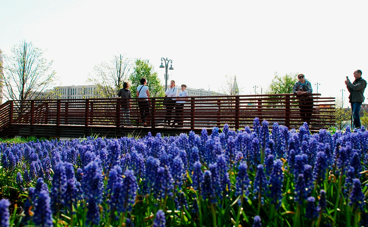 Александр Легкий / Global Look Press