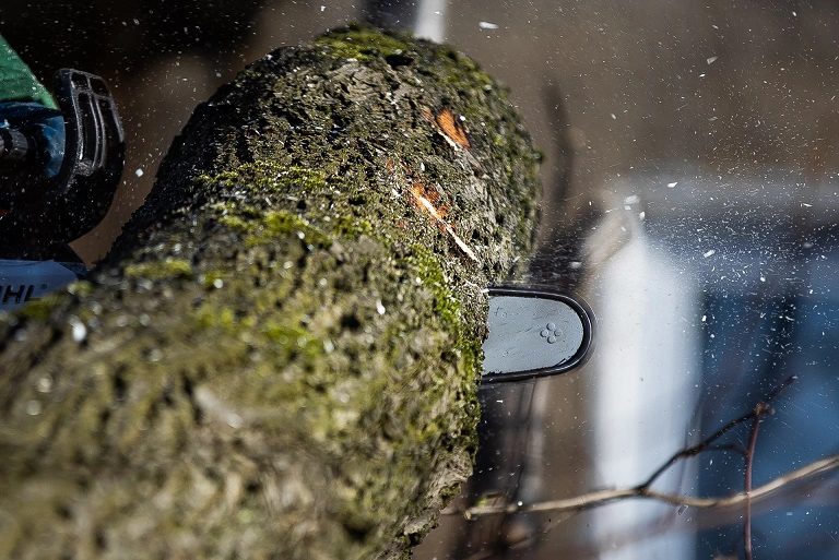 Александр Подгорчук