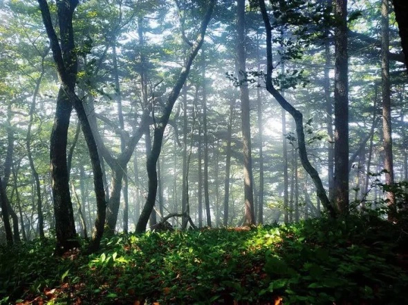 РБК Приморье