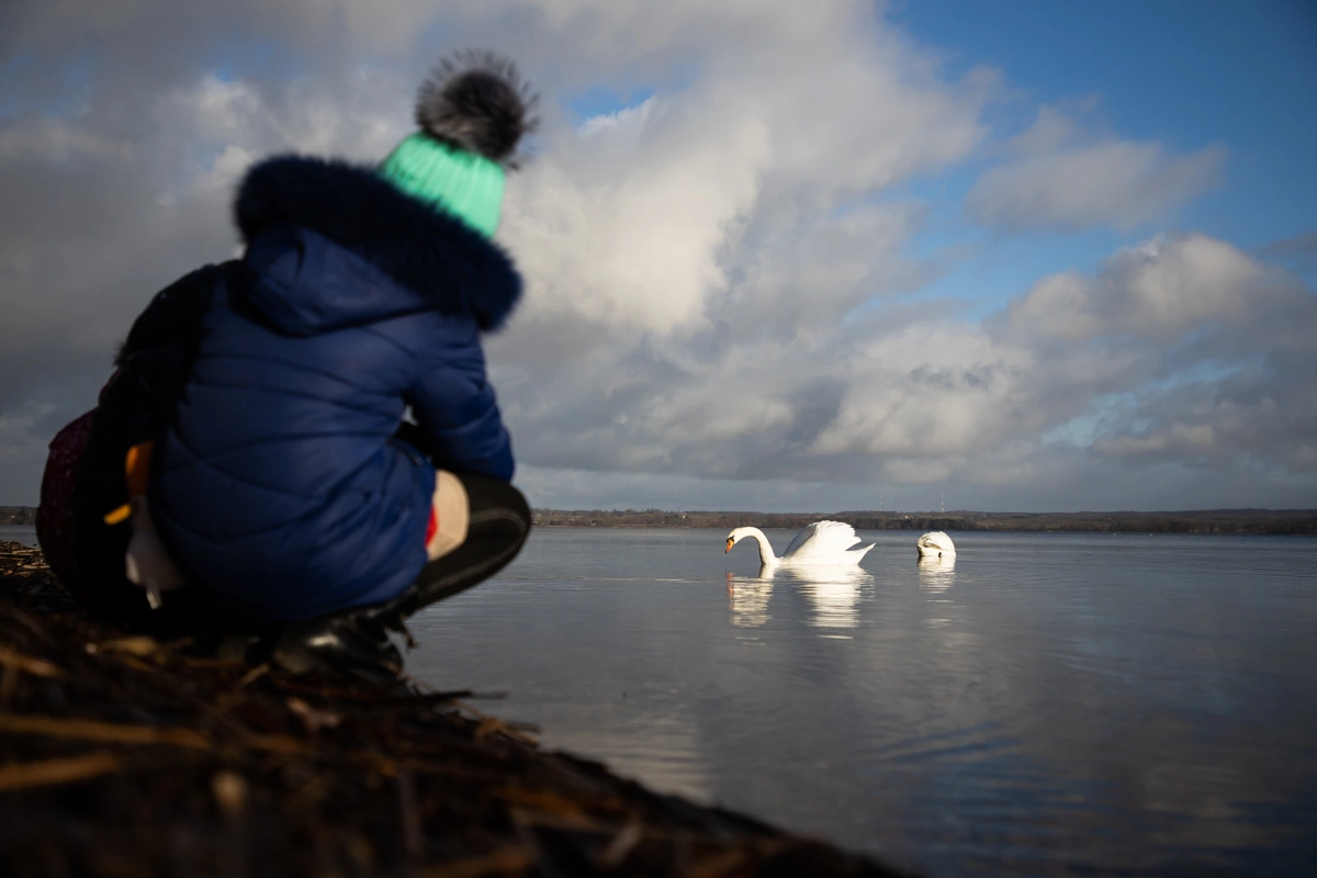 Александр Подгорчук