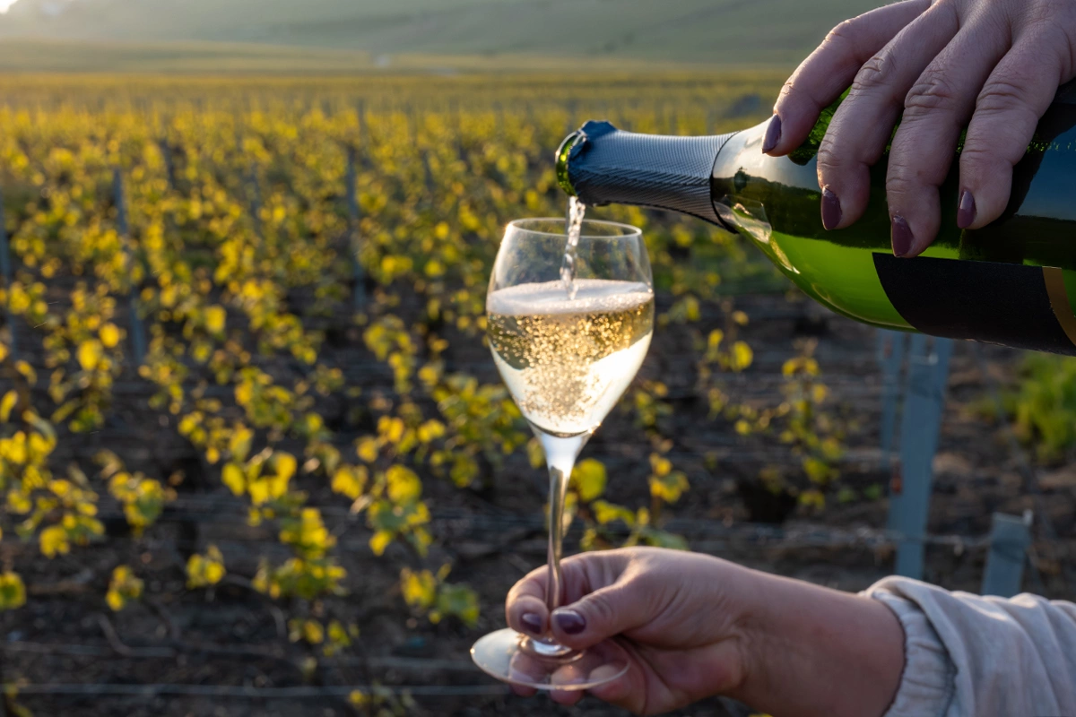 Винные критики начали оценивать качество английского игристого на уровне, сравнимом с шампанским