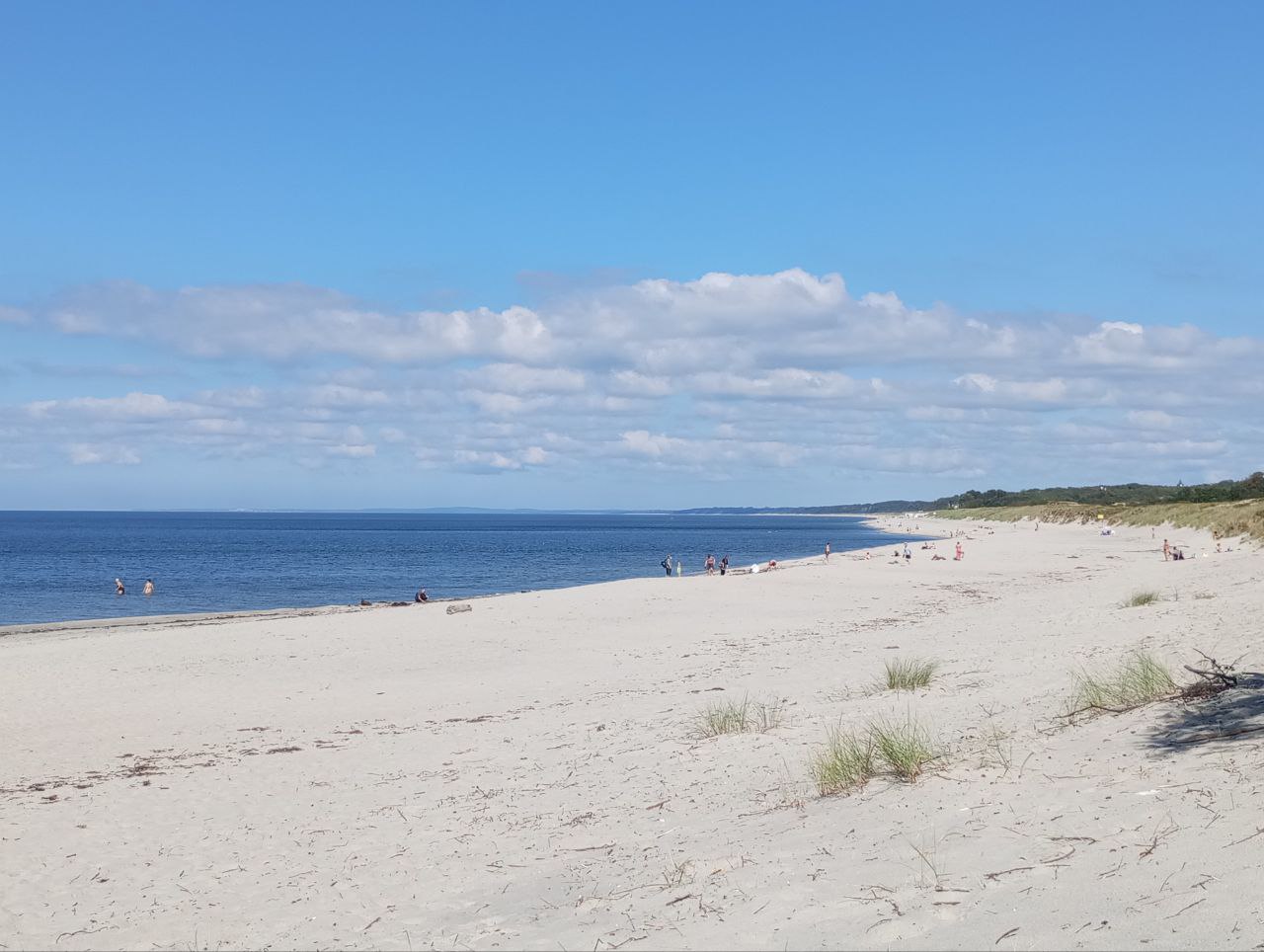 Фото: Наталья Питахина