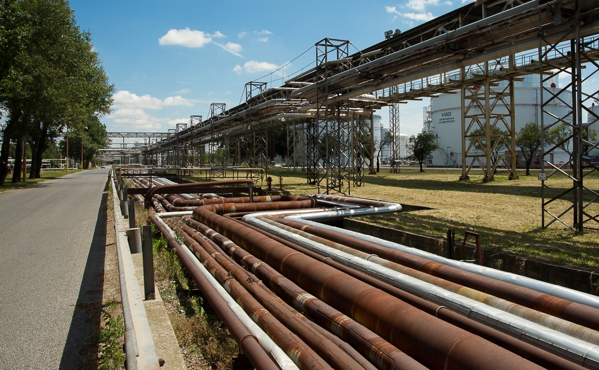 Zuzana Gogova / Getty Images