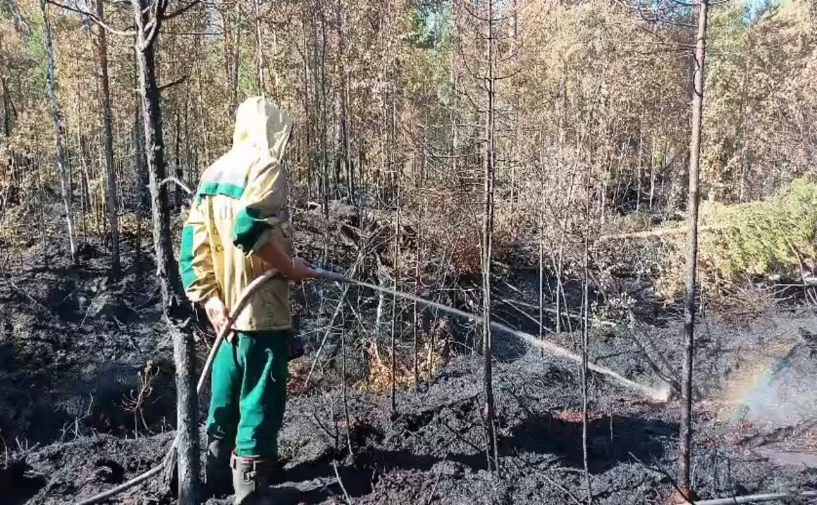 Фото: Минприроды Карелии/ vk.com 
