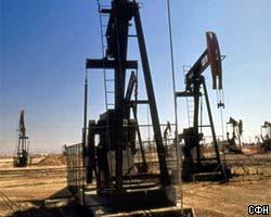 ОПЕК к концу 2004г. увеличит объем нефтедобычи 