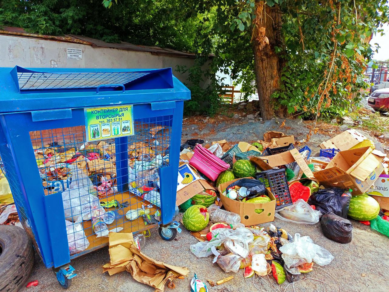 Торговцы овощами и фруктами из других частей Новосибирска, приезжающие за товаром на Хилокский рынок, перебирают продукцию&nbsp;и выбрасывают отходы в мусорные контейнеры жилмассива.