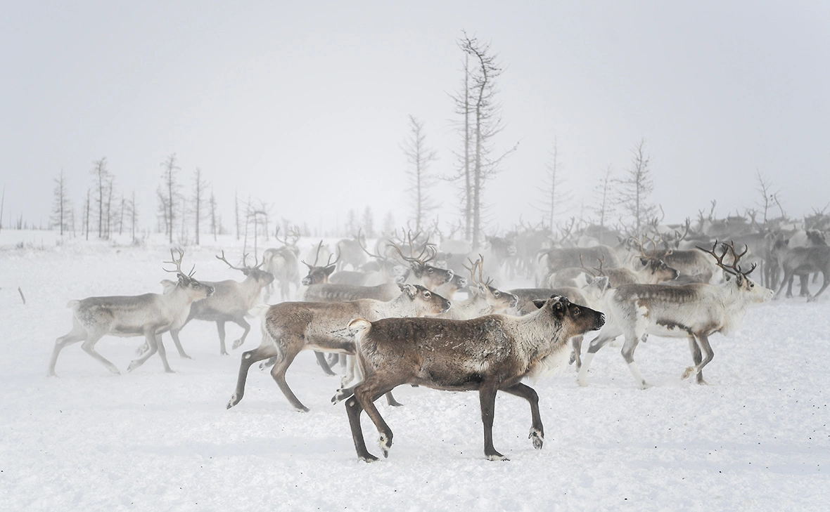 Светлана Шевченко / РИА Новости