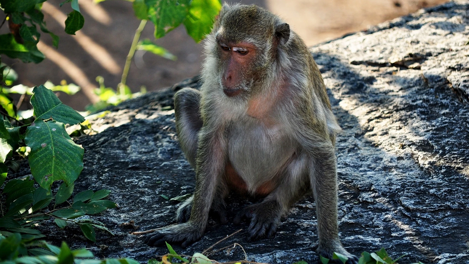 mongkol shookul / Shutterstock / FOTODOM