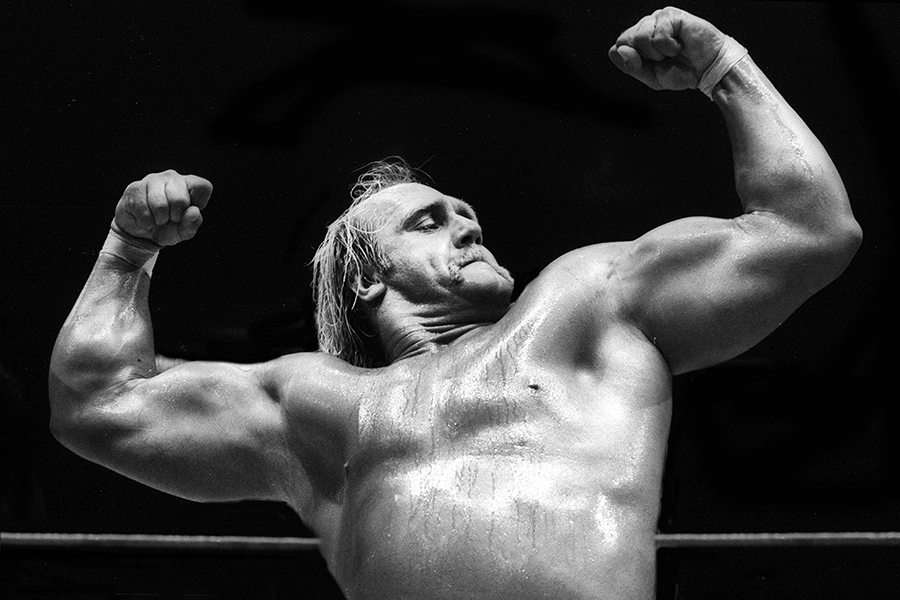 Матч Хогана с Андре Гигантом 5 февраля 1988 года установил американский телевизионный рекорд по количеству зрителей рестлинга &mdash; 15,2 рейтинга Нильсена и 33 миллиона зрителей. Его коллега Коди Роудс неоднократно говорил, что матч Хогана со Скалой на WrestleMania X8 является величайшим матчем в истории рестлинга и что он олицетворяет собой рестлинг.