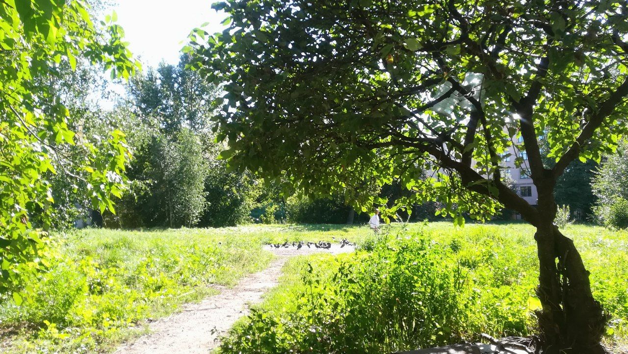 Перекресток Сытнинской и Кронверкской улиц (&laquo;Сквер первостроителей Петербурга&raquo;)