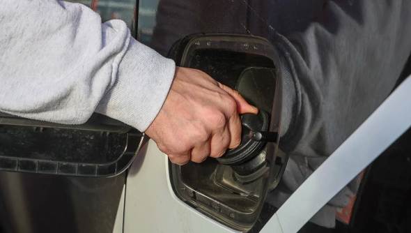 Фото:  Global Look Press