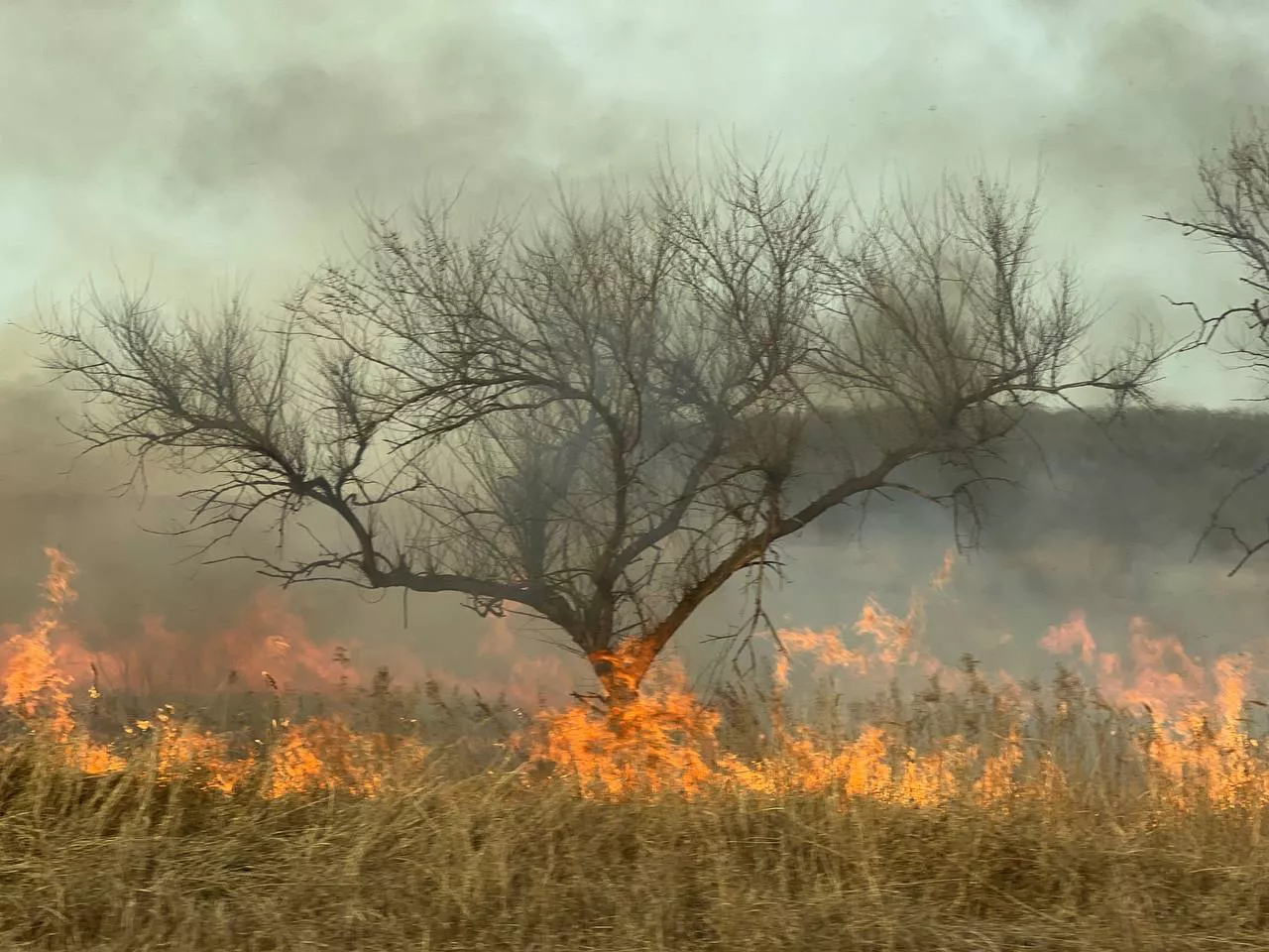 РБК Приморье