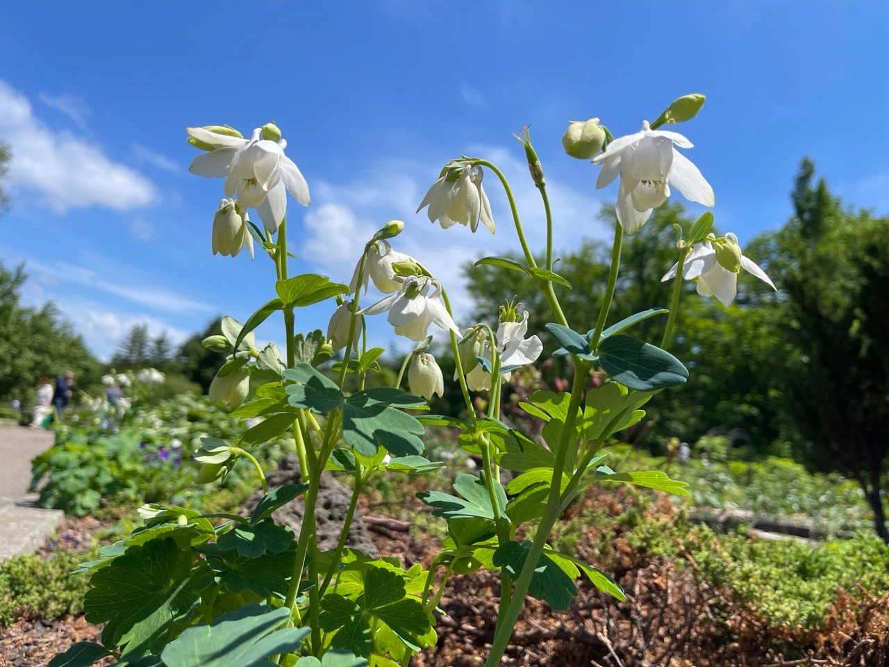 РБК Приморье