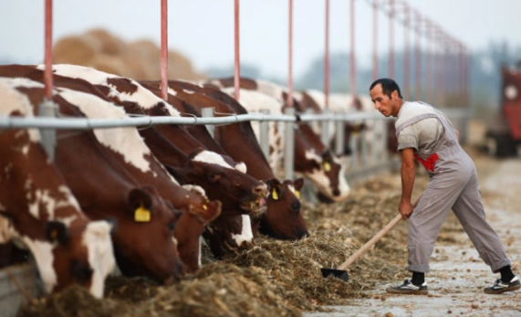 Виталий Тимкив / ТАСС