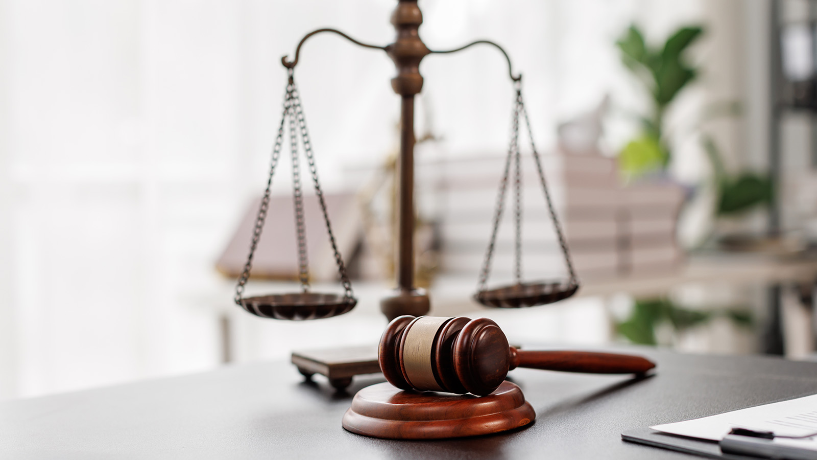 Россиянам напомнили, какие законы вступают в силу в ноябре 2025 года