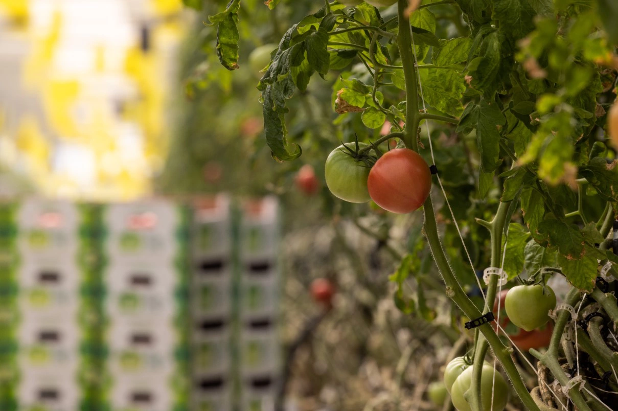 Владимир Андреев / URA.RU