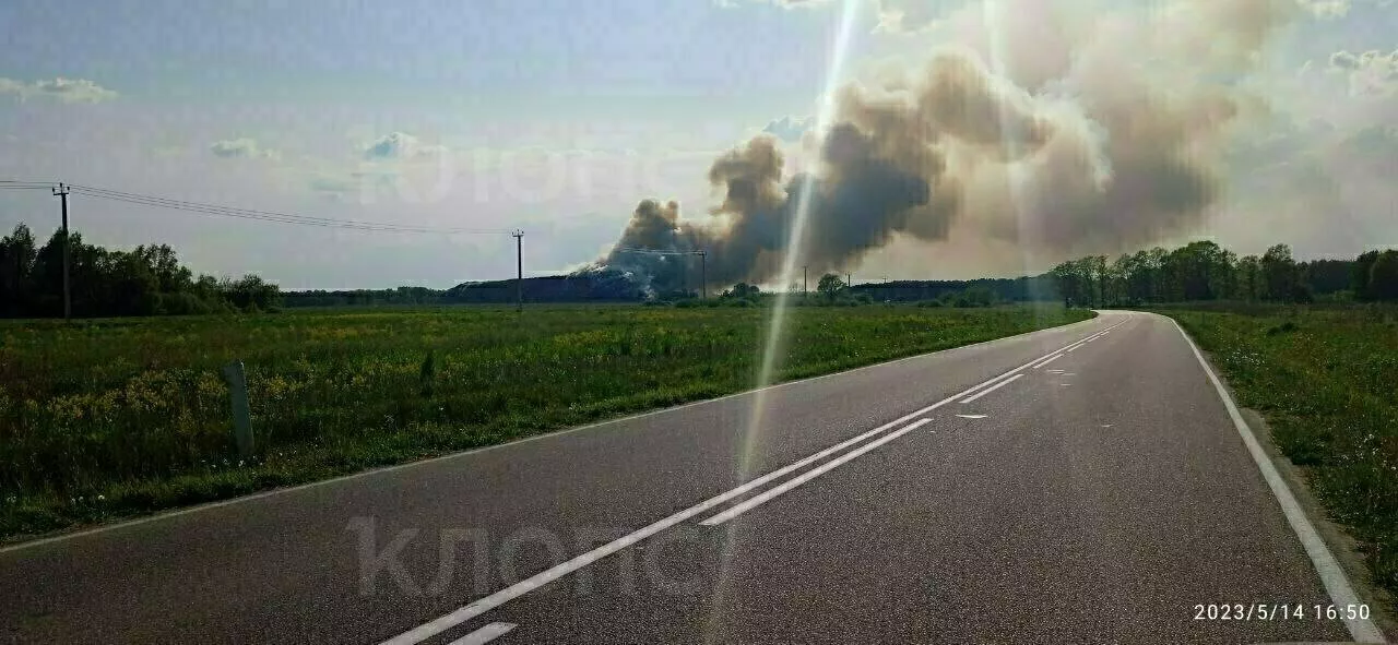 очевидцы, "Клопс"