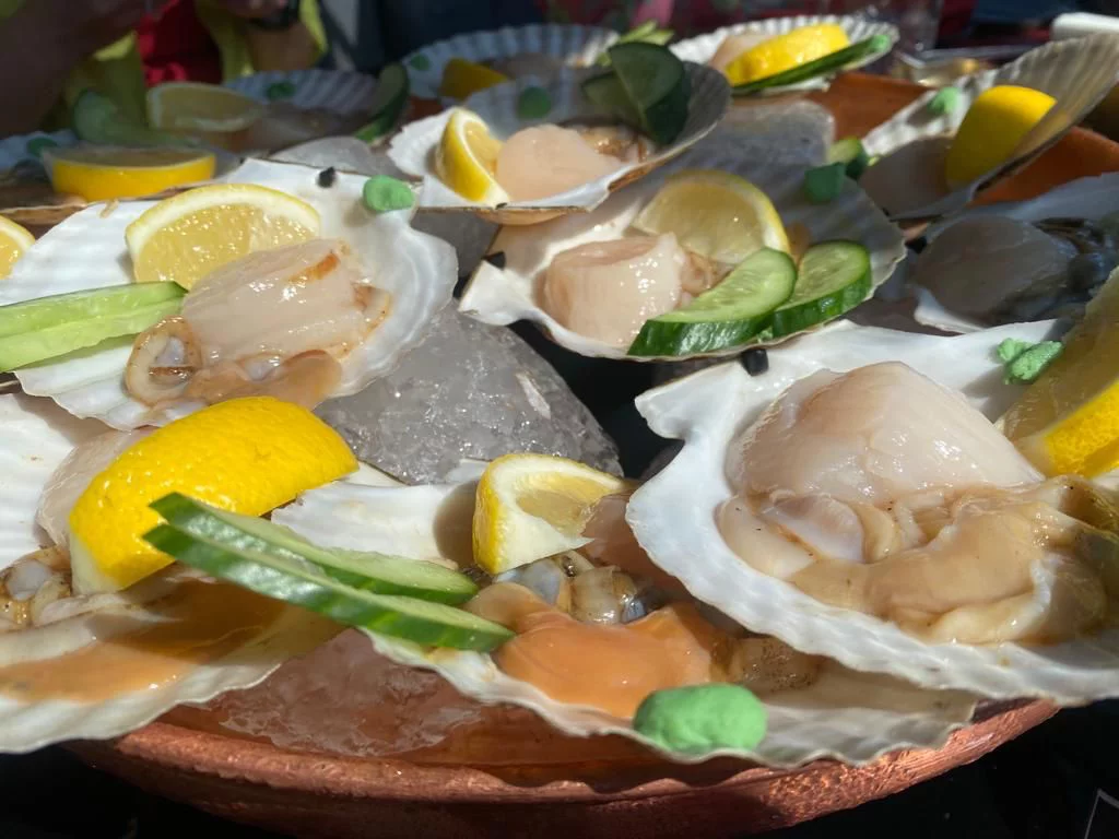 РБК Приморье