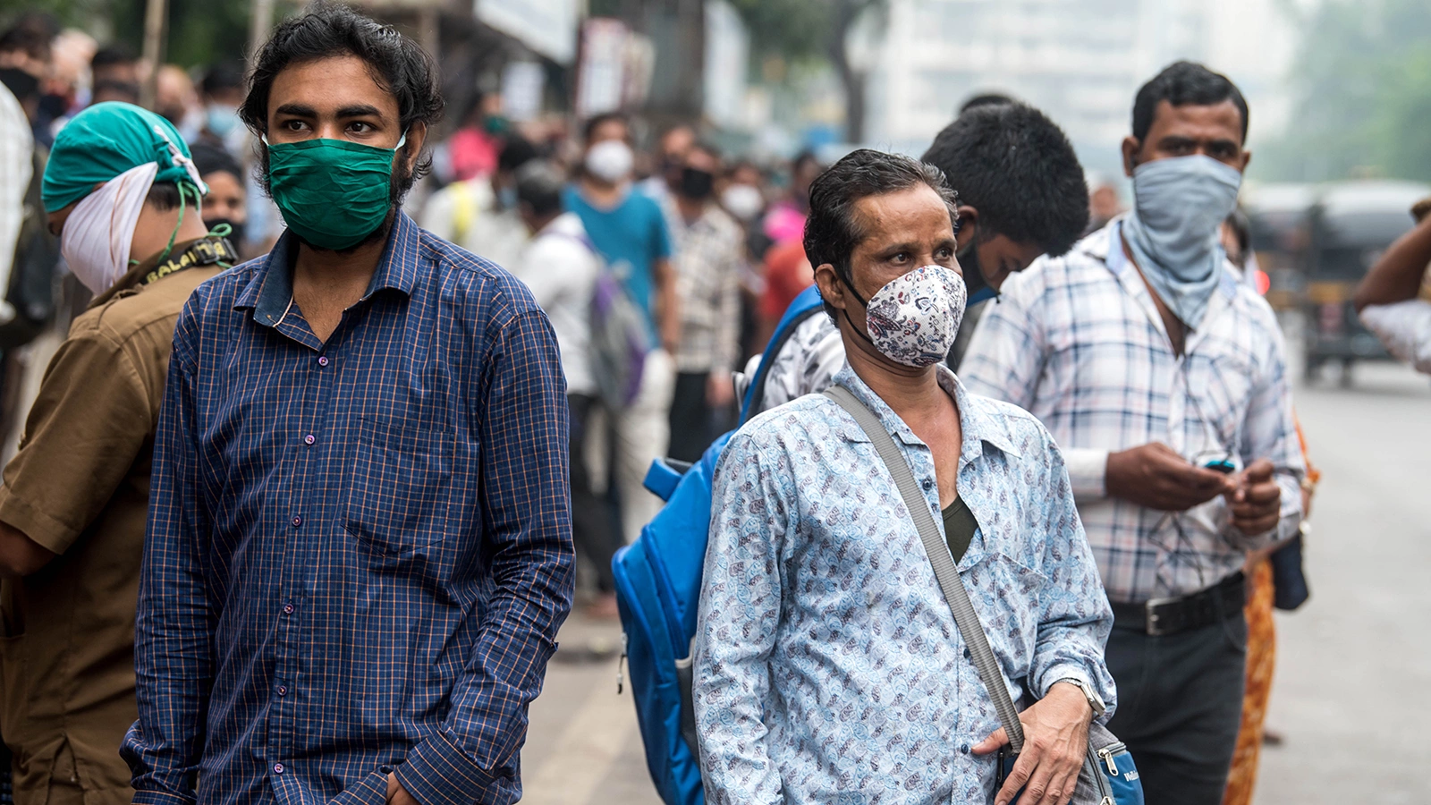 Вирус Нипах относится к зоонозным вирусам, то есть его передача возможна человеку от животных