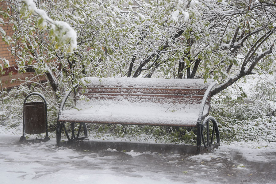 Михаил Гребенщиков / РБК
