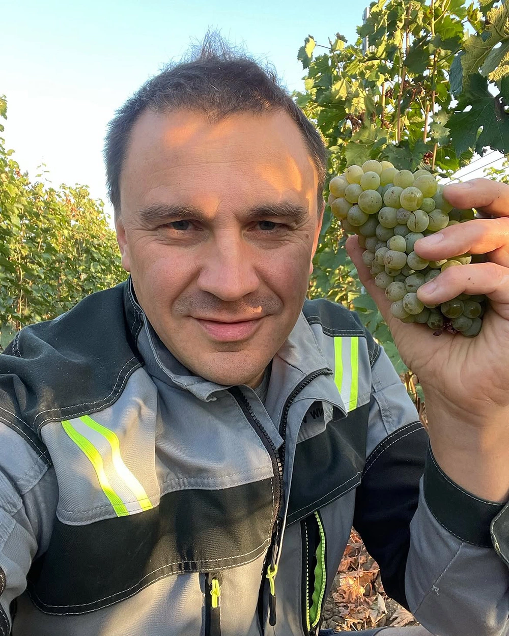 Александр Плотников: «В России своих великих вин пока не создали»
