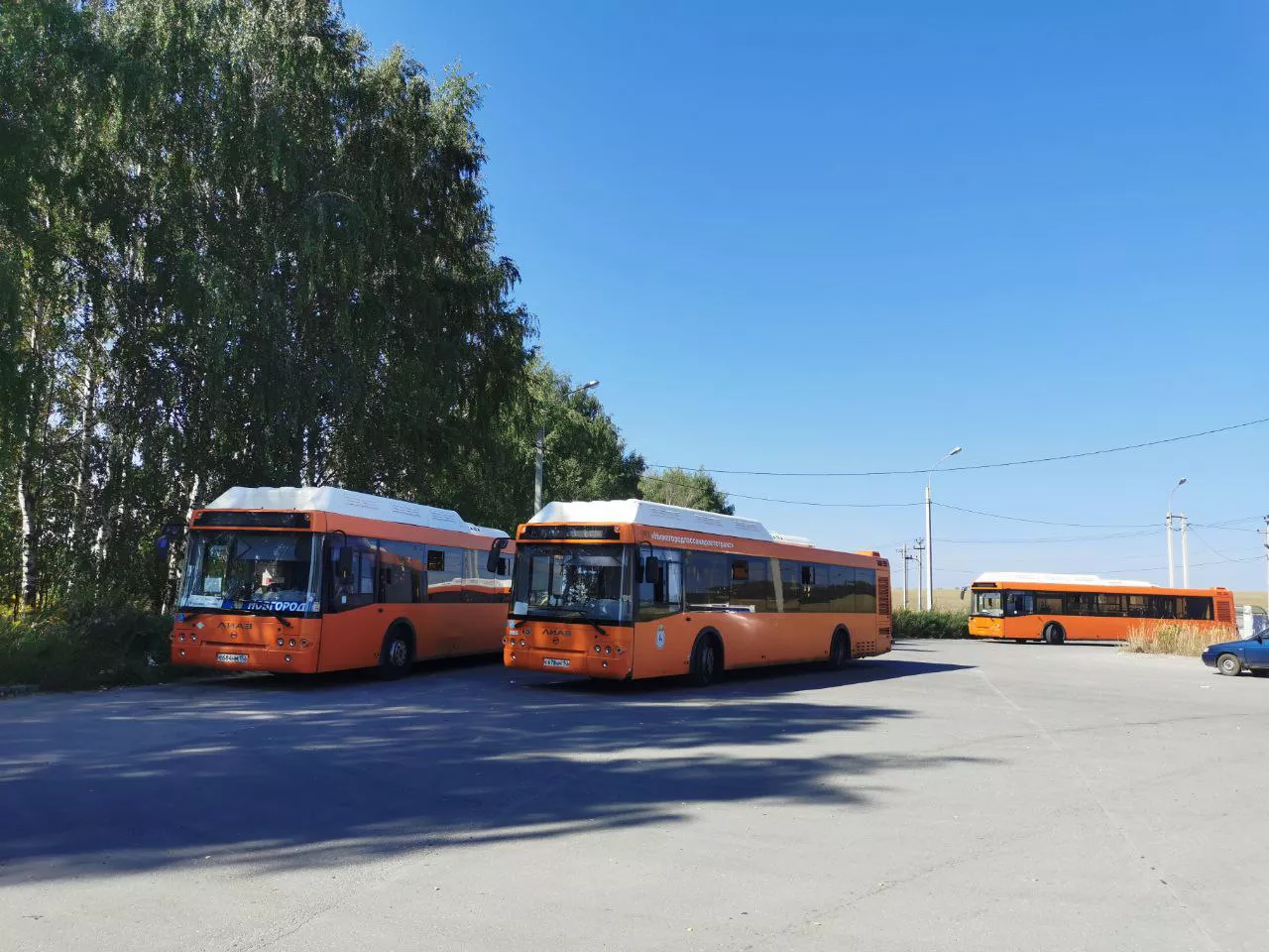 Пресс-служба правительства Нижегородской области