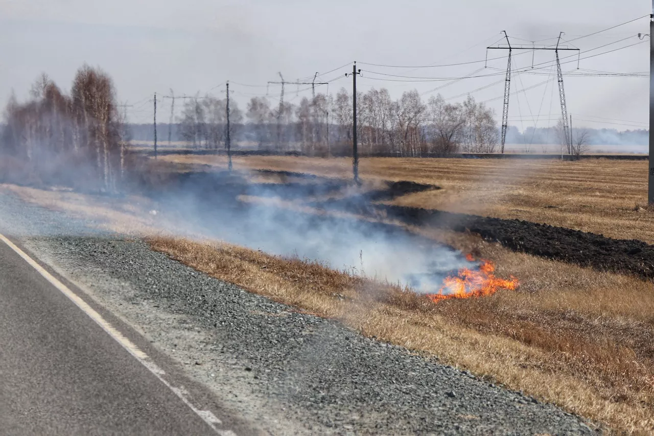 Екатерина Сычкова / РИА URA.RU