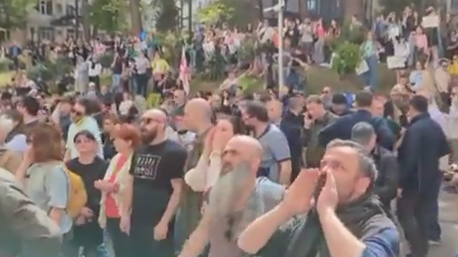 На митинге в Тбилиси задержали граждан России и США