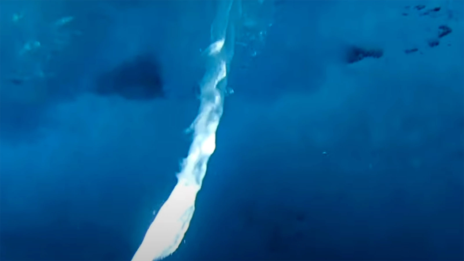 Брайникл в водах Антарктики