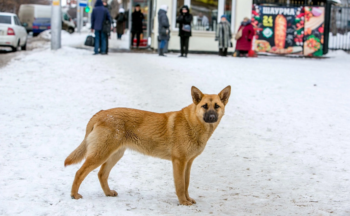 РБК Уфа